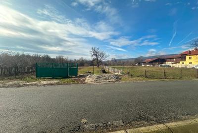 Super Ofertă! Teren Intravilan+Extravilan Gorj - 12