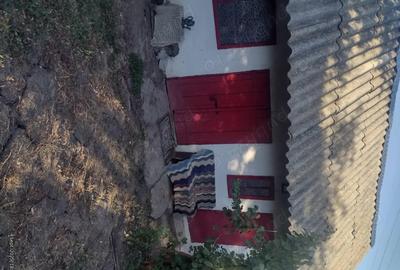 Casă cu 2 camere în Lipovăț - 2