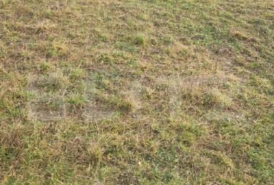 Teren de 500 mp, în Sânpetru