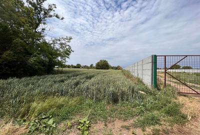 Spațiu comercial, în Dimieni - 2