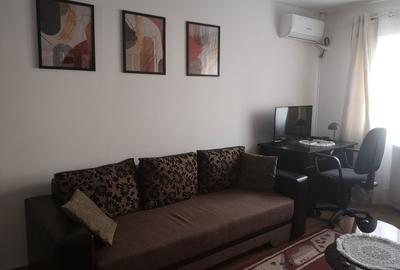 Apartament cu 2 camere decomandat în Gojdu - 6