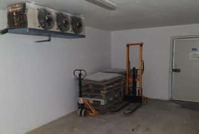 Hala frig/ spatiu str Isaccei zona Dedeman - 10