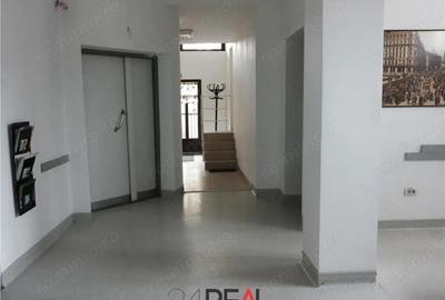 Spațiu comercial, în Basarab - 3