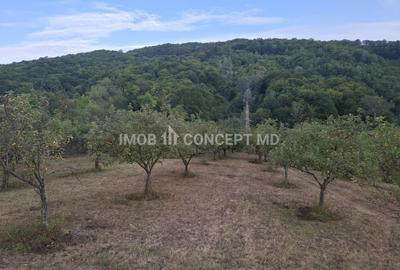 Teren spectaculos cu padure, livada si priveliste panoramica in Soimari PH - 12