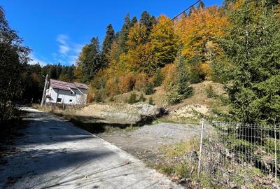 Teren agricol intravilan de 1936 mp, în Est