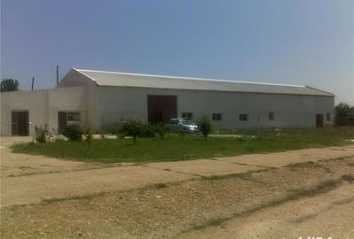 Spațiu comercial, de 2,000 mp, în Mangalia - 4