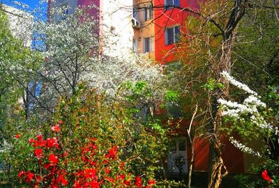 Apartament 3 camere etaj 1 Ion Creanga Prefectura Primarie(fostul C.E.C) liceul Pedagogic - 2