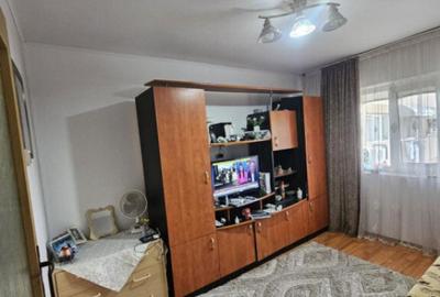 Camera de camin, 22 mp, zona Valea Rosie - 2