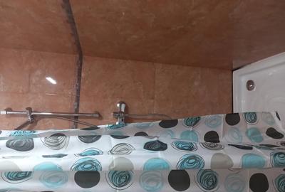 Inchiriez apartament 2 camere cu 2 bai, 72 mp - 1