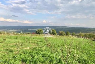 Teren de 6800 mp, în Mogoșești - 3