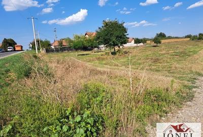 Teren intravilan de 3301 mp, în Galda de Jos - 2