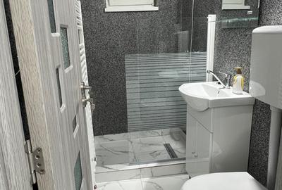 Garsonieră în Gojdu - 4