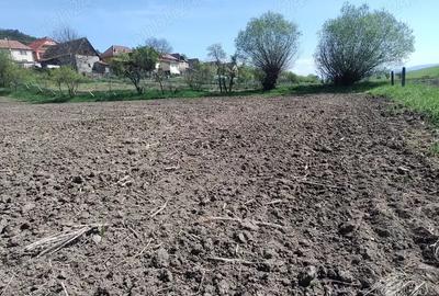 De Vanzare, proprietate frumoasa la ?ara! - 2