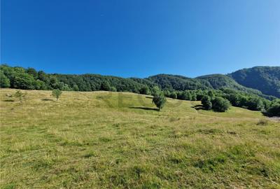 RECO teren extravilan Remeti - 4