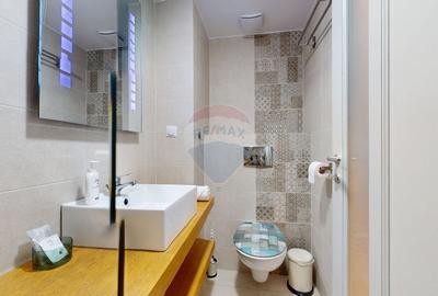 Apartament lux de inchiriat in Brasov pe Bulevardul 15 Noiembrie - 13