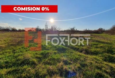 Casă individuală cu 4 camere în Pădureni (Jebel) - 5