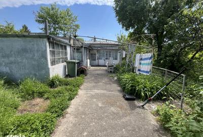 Casă cu Teren 456 Mp în Chitila - 2
