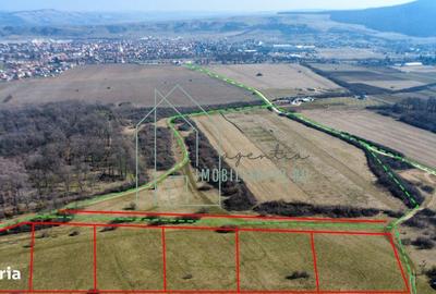 Teren de 1000 mp, în Central - 4