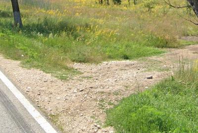 Teren de 5777 mp, în Polovragi - 4