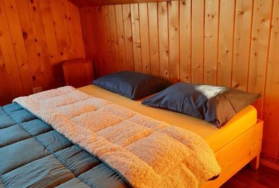 Casă cu 4 camere în Dealu Botii - 1