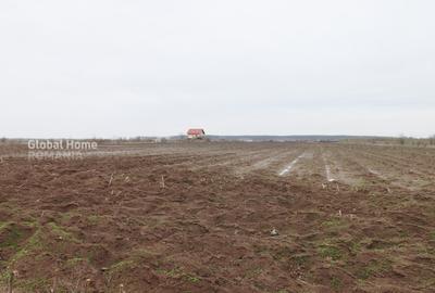 Teren agricol extravilan de 4000 mp, în Corbeanca - 4