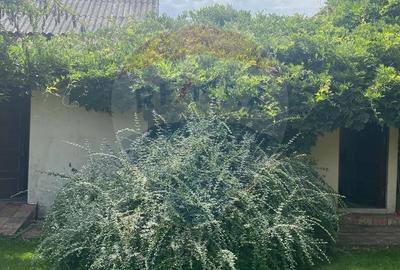 DE VANZARE Vila de vacanta in Pucioasa /Dambovita - 48