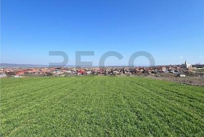 Teren de 5375 mp, în Oșorhei - 2