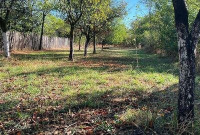 Casă individuală cu 5 camere cu Canalizare în Cocorăștii Caplii - 13