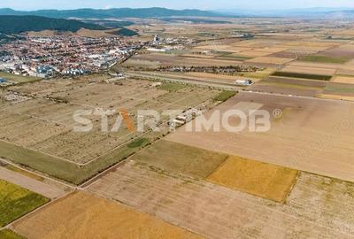 Teren de 13750 mp, în Sud - 8