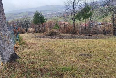 Casă cu Teren 4000 Mp în Hărman - 2