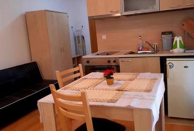 De inchiriat apartament cu o camera in Piata 700 - 1