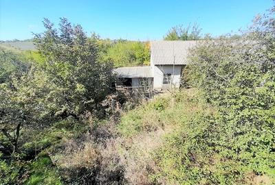 Vanzare vila P+1, Loc. Sinesti, teren: 4.065 mp, langa lac, comision 0% - 7