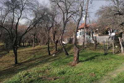 VAND CASA BATRANEASCA, 40 HA IN JURUL CASEI, COM.CETATENI