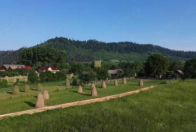 Teren de 10304 mp, în Slatina - 11