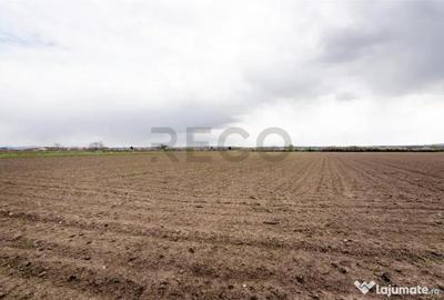 Teren de 5663 mp, în Oșorhei - 10