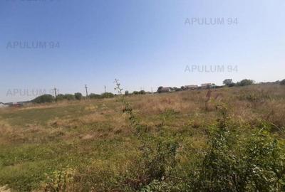 Teren pentru investitie langa Bucuresti - 8