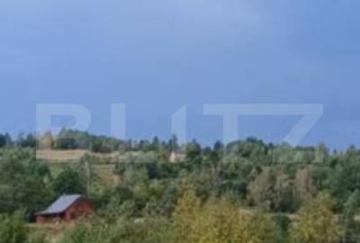 Teren extravilan 4265 mp, in Dangaul Mare - EXCLUSIVITATE - 3