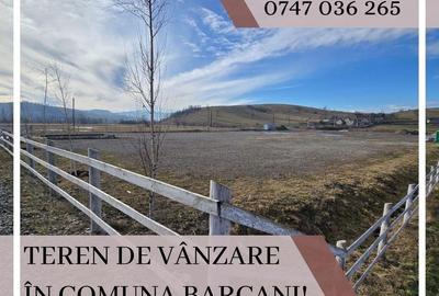 Teren de 6837 mp, în Barcani - 8