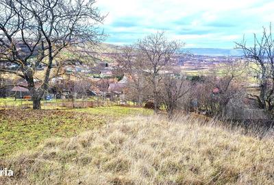 Spațiu comercial, în Sopor