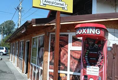 Vand casa cu afacere la cheie! - 2