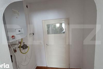 Casă cu 3 camere cu Teren 4700 Mp în Vințu de Jos - 15