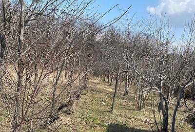 Spațiu comercial, în Păulești - 1