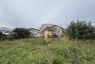 Casa 5 camere, PALAZU MARE, 204 mp cu teren 904 mp - 3