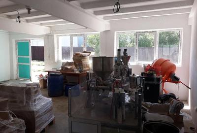 Spațiu comercial, de 350 mp, în Orțișoara - 3