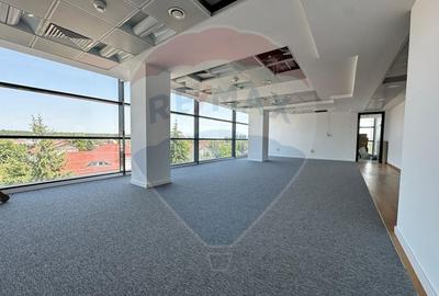 Spatiu de Birouri Premium pe Iancu Nicolae - 2