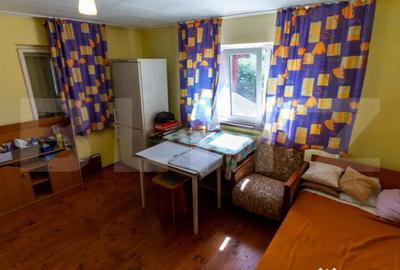 Casă cu 3 camere cu Teren 4000 Mp în Rovina (Brănișca) - 5