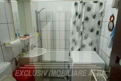 Apartament cu 2 camere, Cetate-Mercur - 3