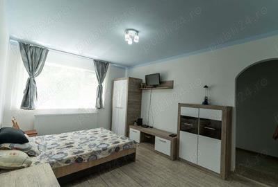 Aparatement langa piata centrala total renovat - 4