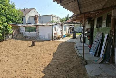 BRASADAS vinde casa 4 csm teren 5 ari zona 14 Msi. BRASADAS vinde casa 4 csm teren 5 ari zona 14 Msi. - 5