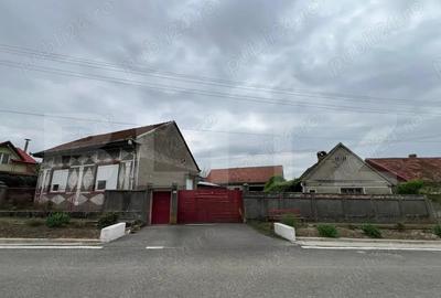 Casa 266 mp, 3992 mp teren, garaj, terasa, Topolovatu Mare-Timisoara - 1